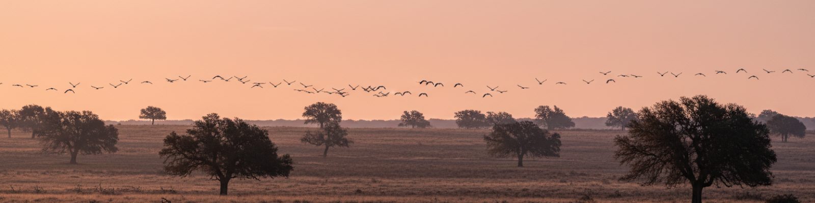 Examen de caza en Extremadura