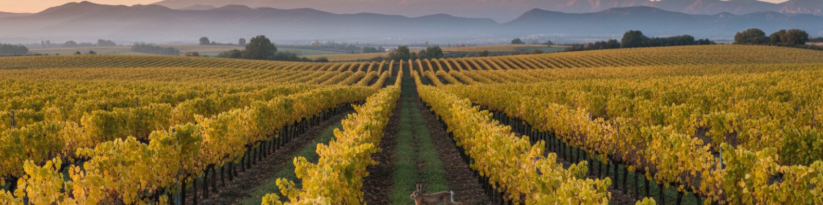 Examen de caza en La Rioja